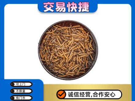 永州市零陵回收散虫草